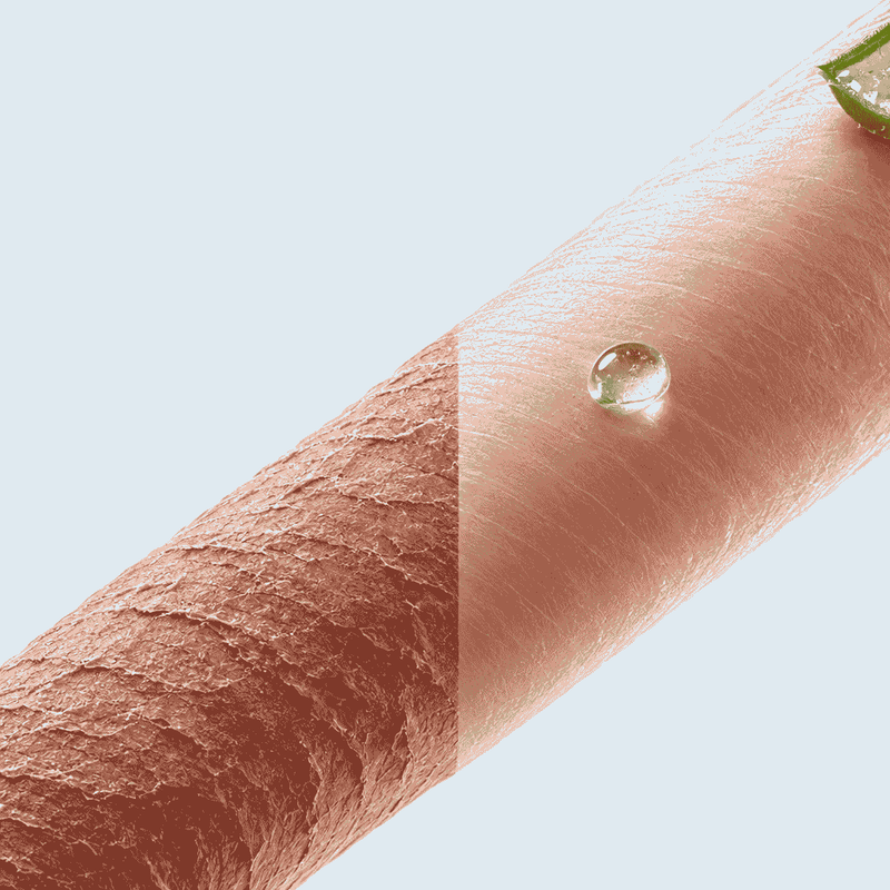 Aloe Leaf Extract